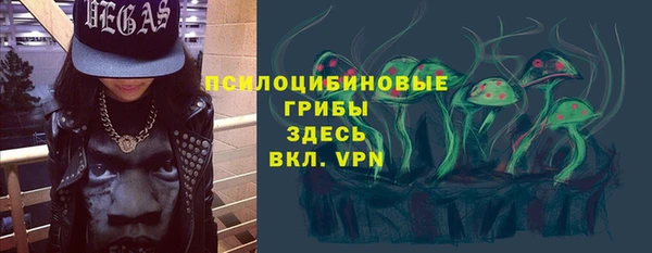 ПСИЛОЦИБИНОВЫЕ ГРИБЫ Зеленокумск