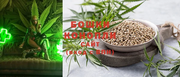 ПСИЛОЦИБИНОВЫЕ ГРИБЫ Зеленокумск