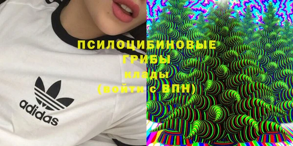 ПСИЛОЦИБИНОВЫЕ ГРИБЫ Зеленокумск