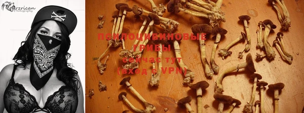 ПСИЛОЦИБИНОВЫЕ ГРИБЫ Зеленокумск