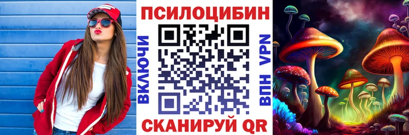 Купить закладки  Богданович  Галлюциногенные грибы Cubensis 
